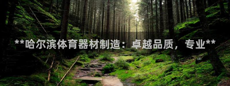 富联娱乐负责人：**哈尔滨体育器材制造：卓越品质，专