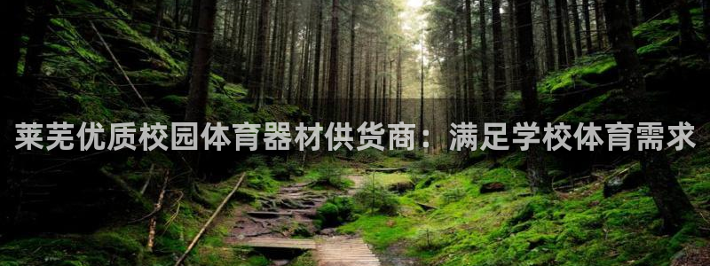 富联建工：莱芜优质校园体育器材供货商：满足学校体育需