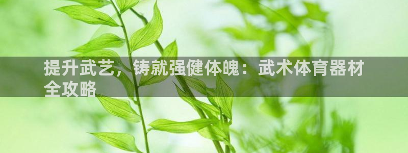 富联官网注册不了账号吗：提升武艺，铸就强健体魄：武术