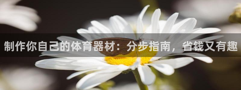 富联平台q665.786：制作你自己的体育器材：分步
