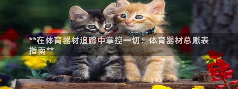 富联集团最新消息新闻：**在体育器材追踪中掌控一切：