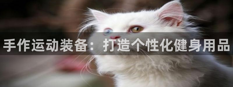 富联娱乐股东：手作运动装备：打造个性化健身用品