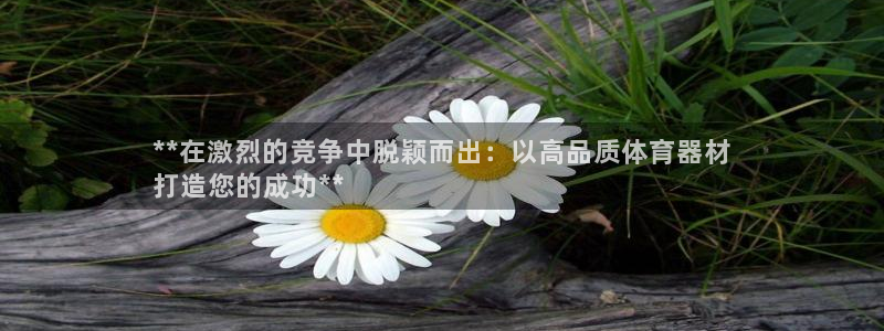 富联娱乐价7O777：**在激烈的竞争中脱颖而出：以