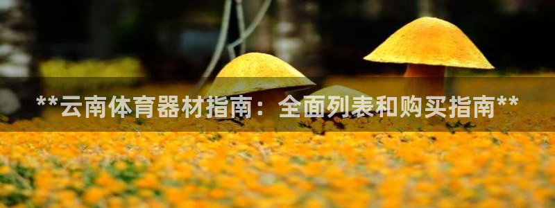 富联平台娱乐：**云南体育器材指南：全面列表和购买指