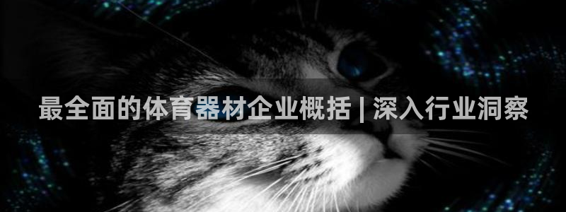 富联平台认可 585.34I 富联：最全面的体育器材