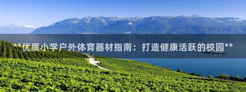 富联官方网站首页入口：**优质小学户外体育器材指南：
