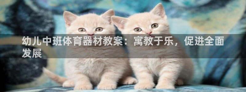 富联地产怎么样知乎：幼儿中班体育器材教案：寓教于乐，