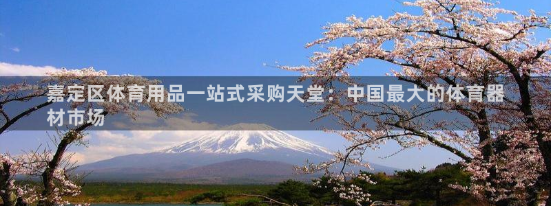 富联申购可以赚多少钱：嘉定区体育用品一站式采购天堂：