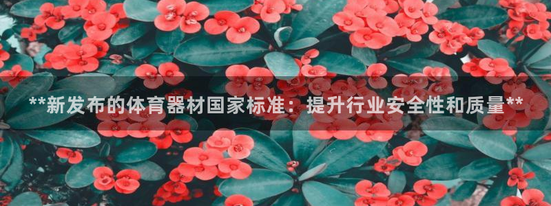 富联平台商 5O6917 平台：**新发布的体育器材