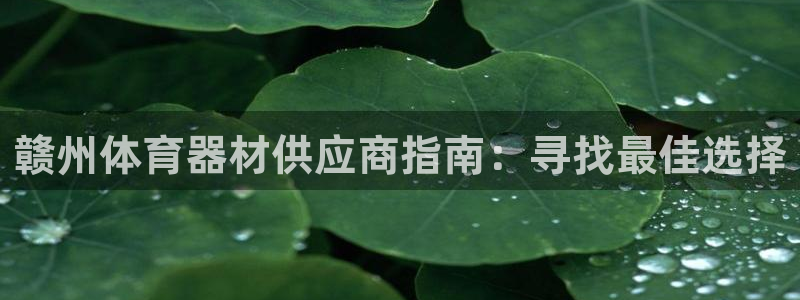 富联娱乐平台开户流程：赣州体育器材供应商指南：寻找最