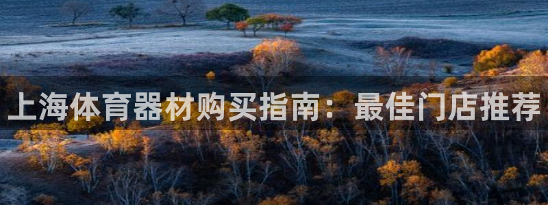 富联平台代理注册：上海体育器材购买指南：最佳门店推荐