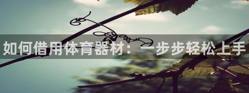 富联娱乐测速怎么样：如何借用体育器材：一步步轻松上手