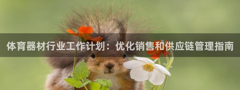 富联平台招 37oo735：体育器材行业工作计划：优