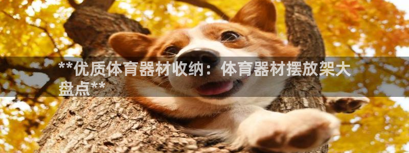 富联娱乐客户端app下载服务器失败怎么回事：**优质