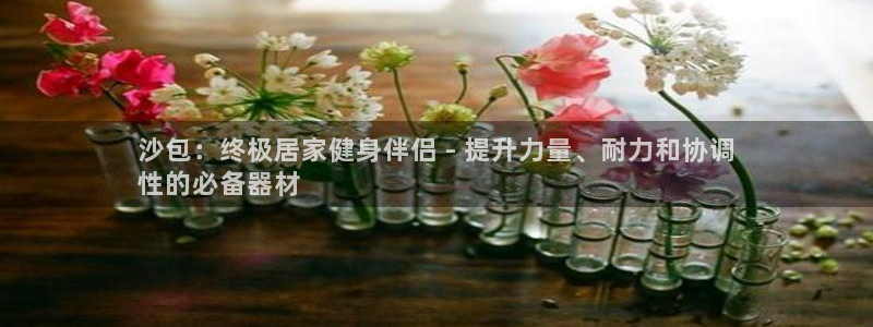 富联娱乐护7O777：沙包：终极居家健身伴侣 - 提