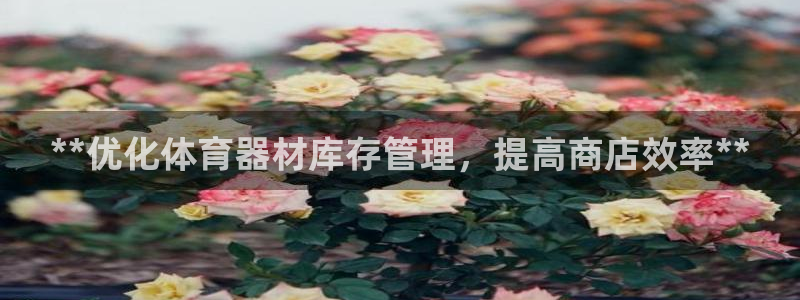 富联娱乐客户端app下载服务器异常：**优化体育器材
