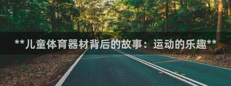 富联娱乐玩法机制是什么：**儿童体育器材背后的故事：