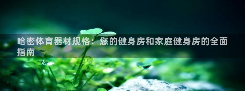富联娱乐测速地址：哈密体育器材规格：您的健身房和家庭