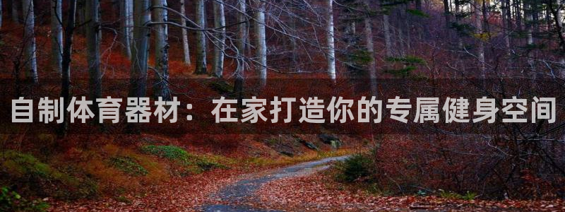 富联官方网站登录：自制体育器材：在家打造你的专属健身