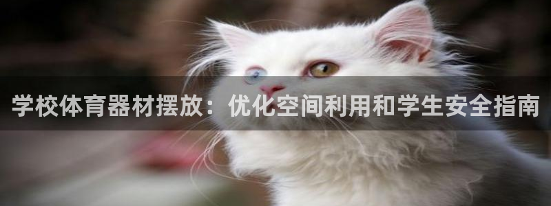 富联娱乐登录注册入口官网网址是多少：学校体育器材摆放