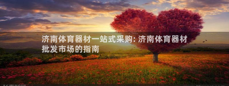 富联食品加工厂：济南体育器材一站式采购: 济南体育器