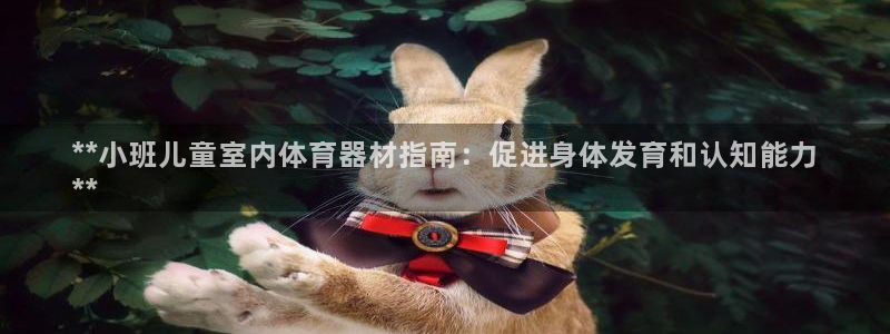 富联芯科技：**小班儿童室内体育器材指南：促进身体发