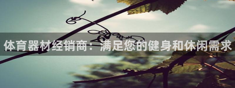 富联平台主管代理：体育器材经销商：满足您的健身和休闲