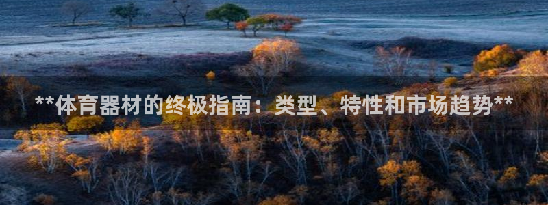 富联智能科技学院：**体育器材的终极指南：类型、特性