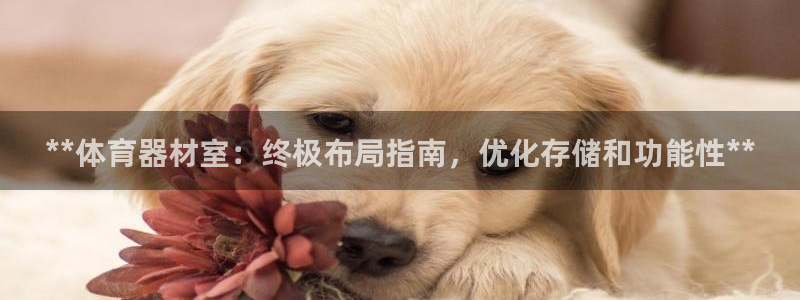 富联娱乐客户端app下载服务器错误：**体育器材室：