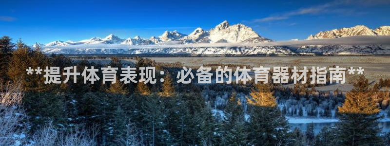 富联平台登录注册流程：**提升体育表现：必备的体育器