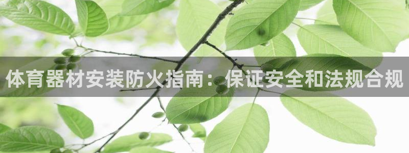 富联是什么股票板块：体育器材安装防火指南：保证安全和