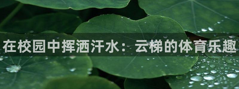 富联娱乐嗯 5O6917 富联：在校园中挥洒汗水：云