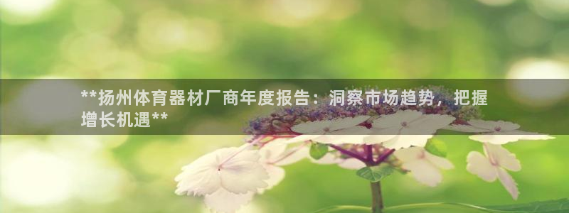 富联娱乐平台是什么：**扬州体育器材厂商年度报告：洞