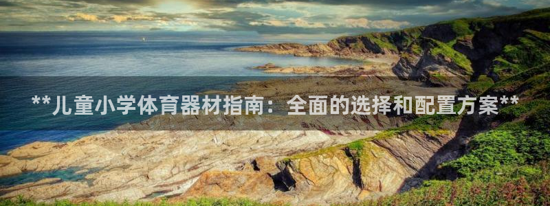 富联官网授权店铺：**儿童小学体育器材指南：全面的选