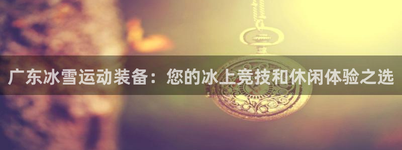 富联官网授权店铺查询：广东冰雪运动装备：您的冰上竞技