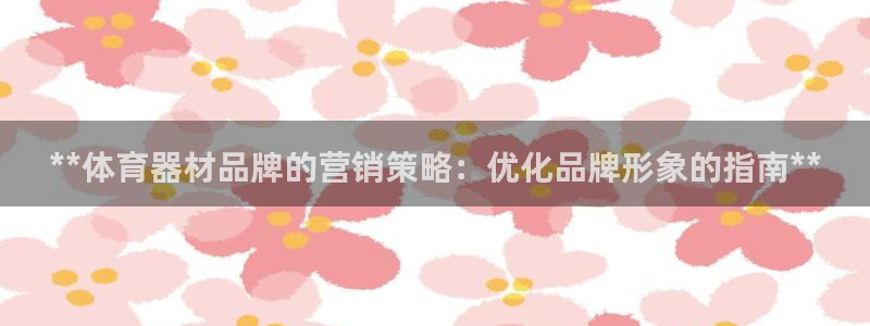 富联官方网站入口查询：**体育器材品牌的营销策略：优