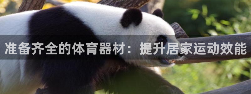 富联娱乐口 411O31 娱乐：准备齐全的体育器材：