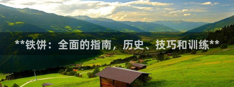 富联平台挂机：**铁饼：全面的指南，历史、技巧和训练