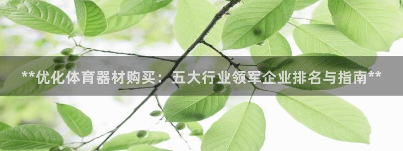 富联娱乐代理怎么做的：**优化体育器材购买：五大行业