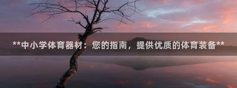 富联官网注册流程：**中小学体育器材：您的指南，提供
