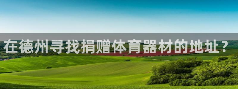 富联官网丁6.7.5.1.3.8：在德州寻找捐赠体育