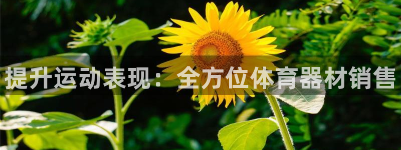 富联娱乐登录注册入口官网下载：提升运动表现：全方位体