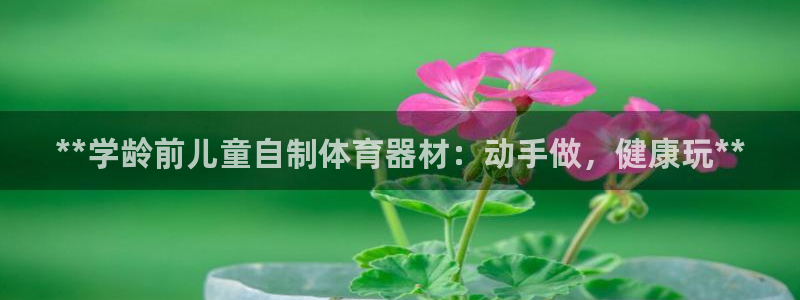 富联娱乐平台怎么样可靠吗：**学龄前儿童自制体育器材：动手做