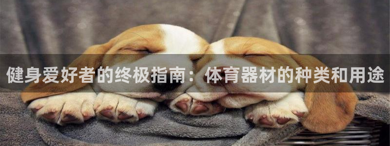 富联平台主管：健身爱好者的终极指南：体育器材的种类和用途