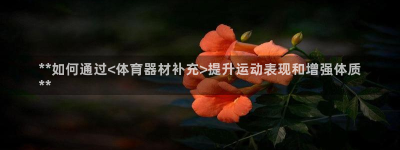 富联官方网站首页：**如何通过<体育器材补充>提升运