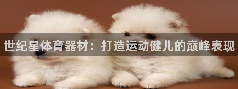 富联展示中心：世纪星体育器材：打造运动健儿的巅峰表现