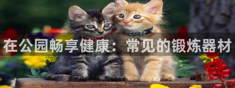 富联娱乐价7O777：在公园畅享健康：常见的锻炼器材