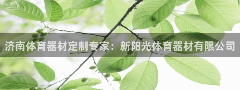 富联娱乐测速app：济南体育器材定制专家：新阳光体育