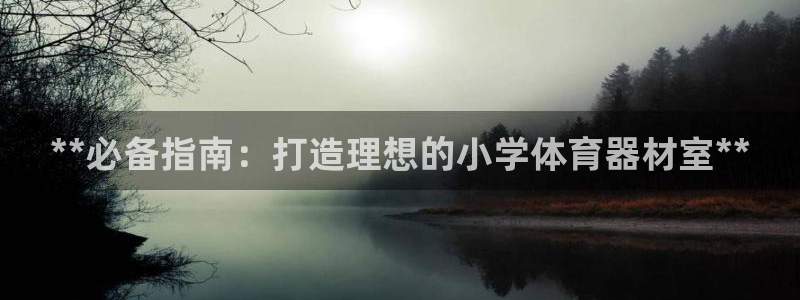 富联平台安装：**必备指南：打造理想的小学体育器材室