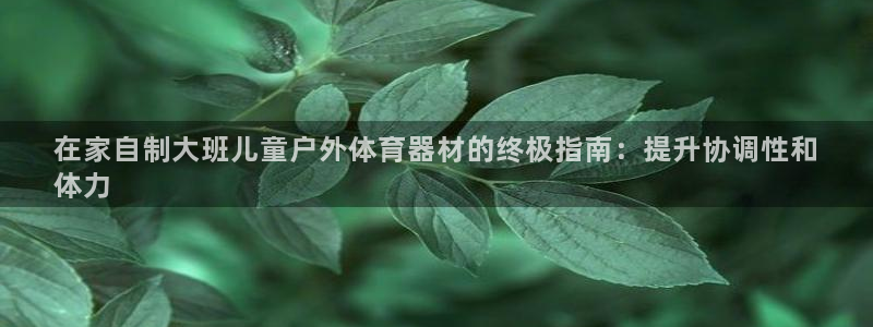 富联平台飞 411o31 富联：在家自制大班儿童户外